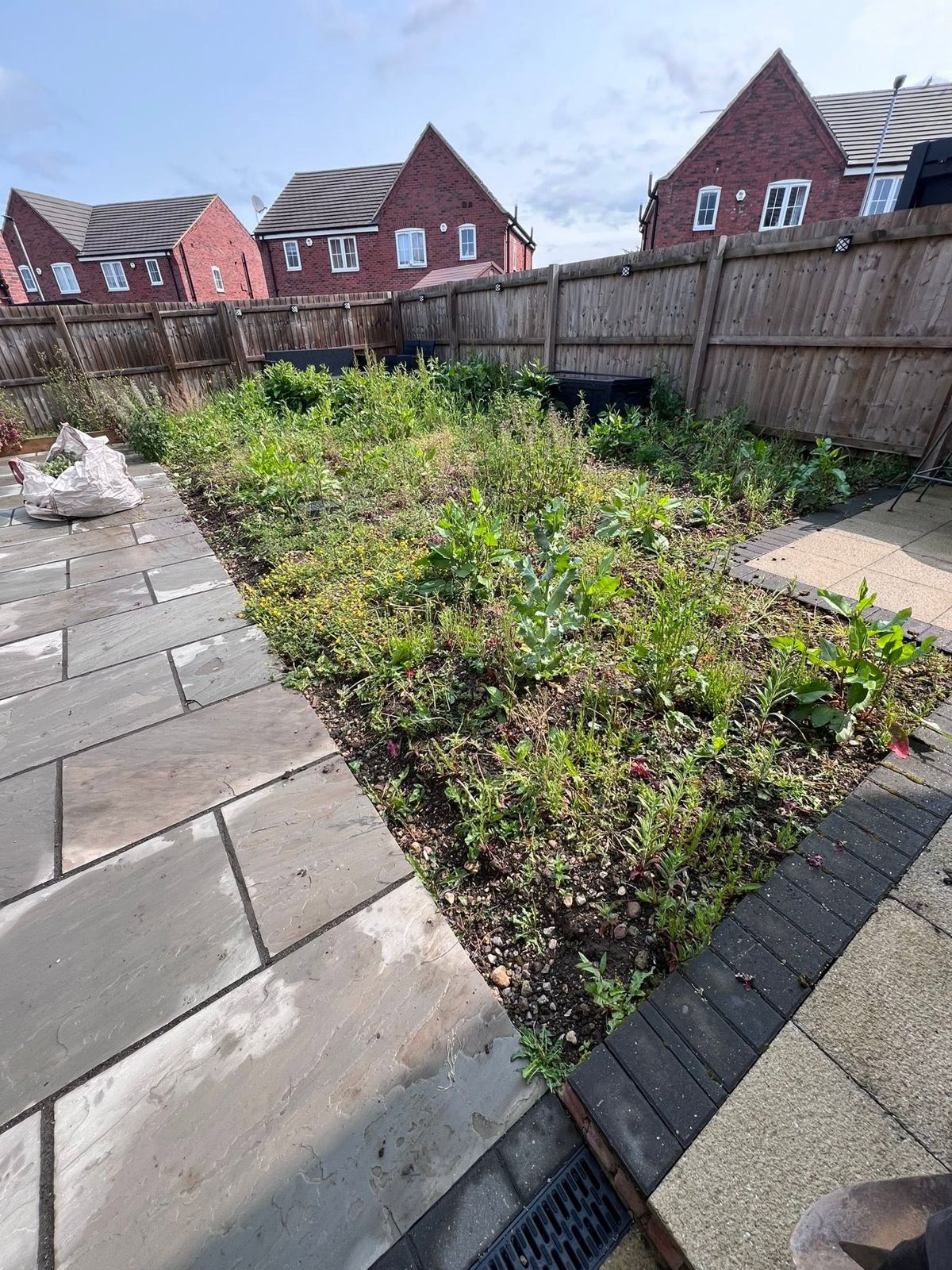 Overgrown bed beside a patio