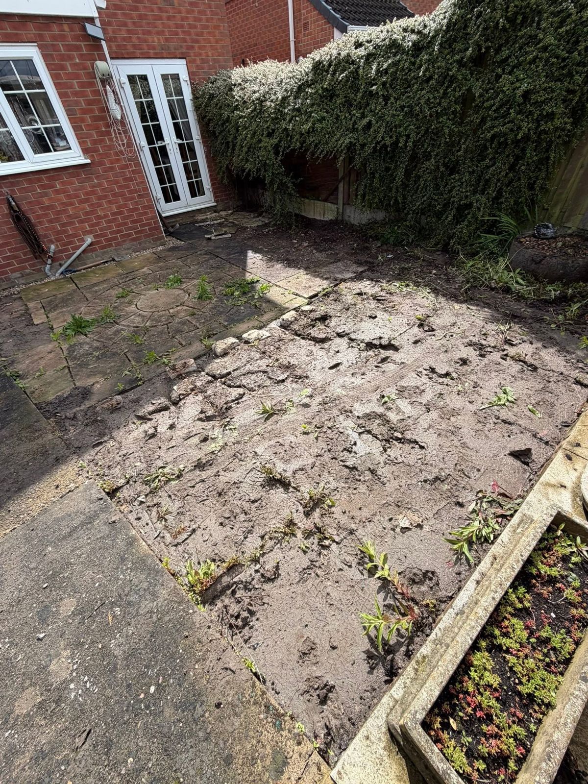Broken old patio with weeds coming through